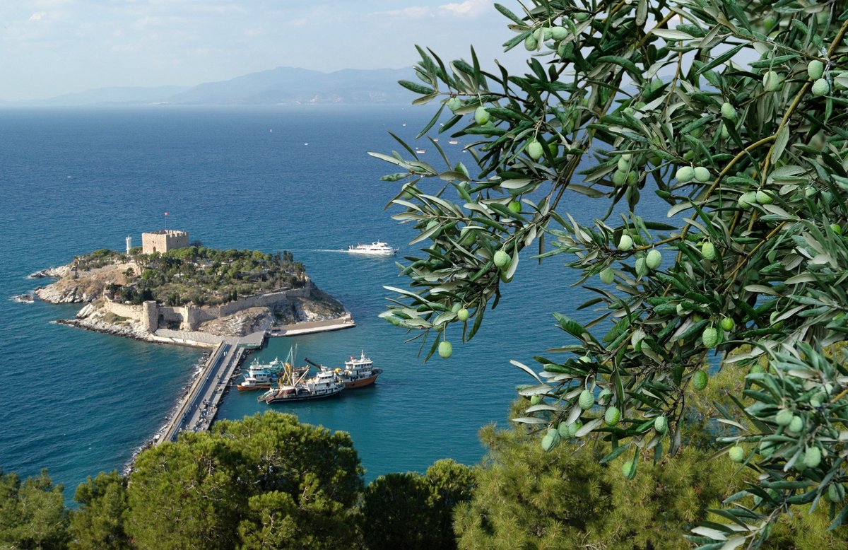 Kuşadası adını, 1413 yılında 1. Mehmet çelebi zamanında Osmanlılar tarafından zapt edilmiş ve içinde pek çok kuş yuvası bulunan Güvercin ada’ ya ithafen aldığını biliyor muydunuz?