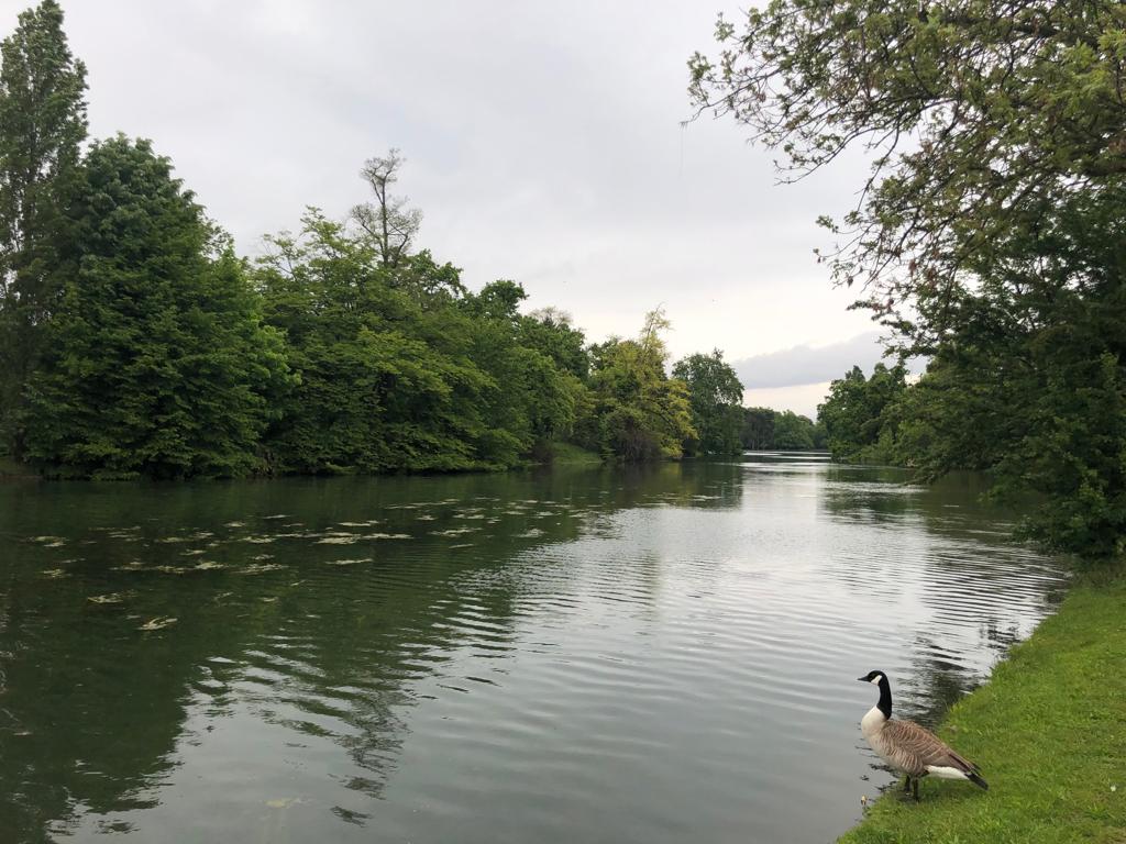 Back from a decent morning run in quiet Paris that is commemorating the end of WWII. Let's be proud of #Europe where pluralism, democracy, cooperation, economic and social welfare have superseded the darkest period of the 20th century.