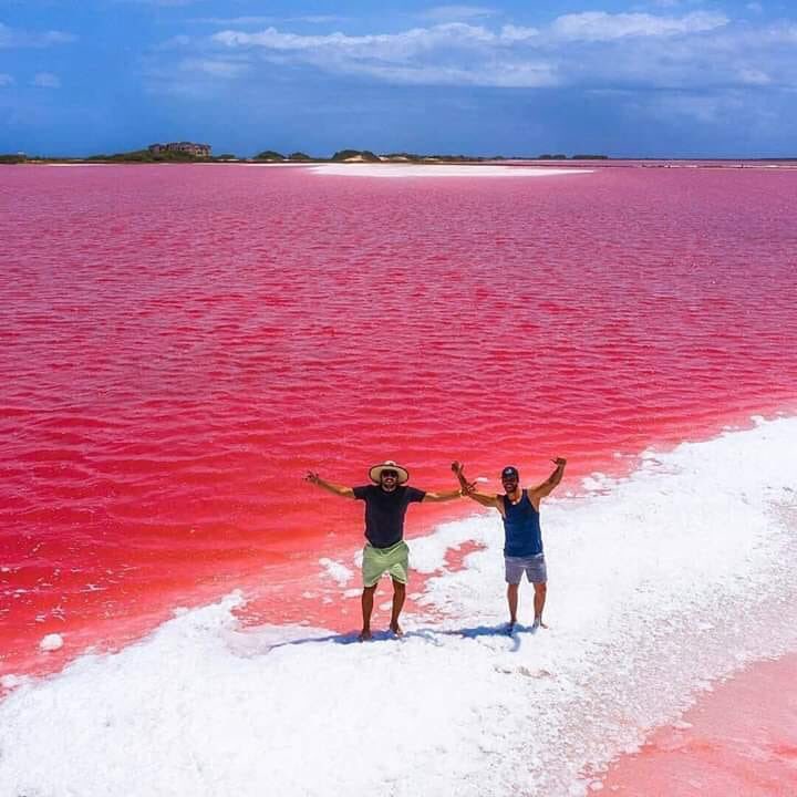 GianlucaCoccon1's tweet photo. Una preciosura de la naturaleza, solo se ve en nuestra VENEZUELA...salinas de las cumaraguas...peninsular de Paraguana-Edo FALCÓN https://t.co/iZ9lGveCKK
