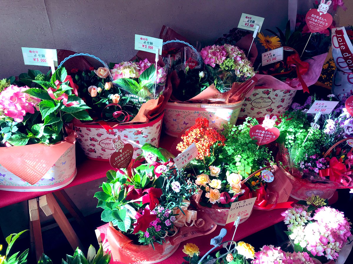アイチ京都東山 花屋さん Kaenaichi Twitter アイチ京都東山 花屋さん Kaenaichi Twitter