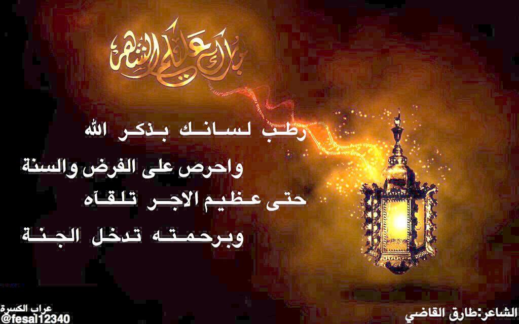 طارق القاضي tweet media