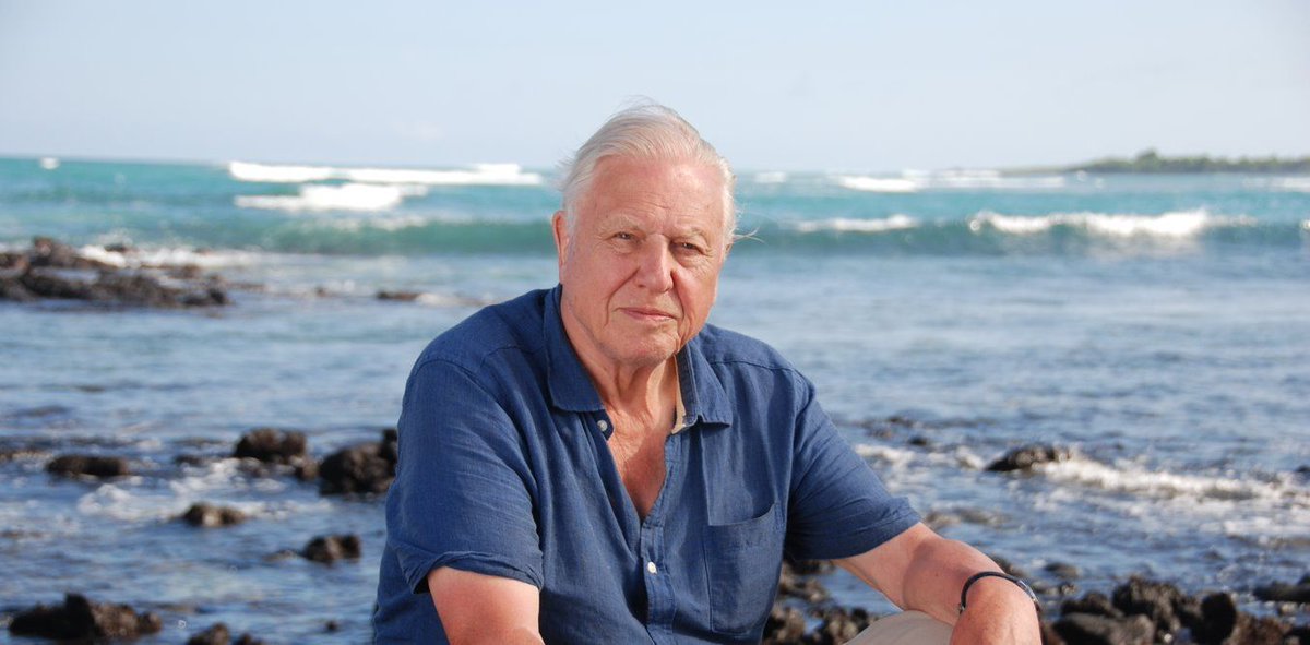 Refill's tweet image. Happy 93rd Birthday to Sir #DavidAttenborough To celebrate why not join the #RefillRevolution and choose to reuse! 

#DoItForDavid 💧 🌎