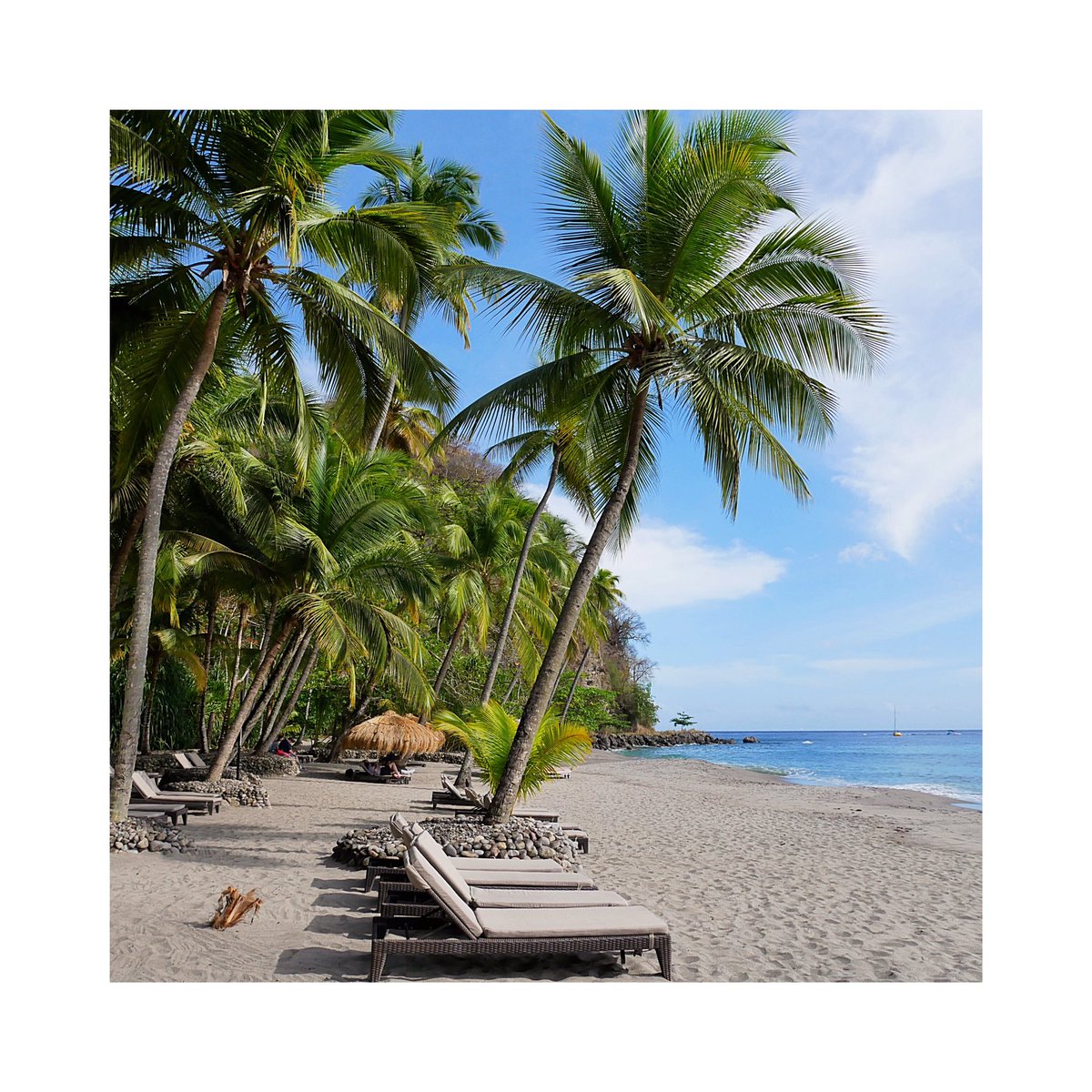 🌴ST LUCIA🌴 <a href="/ANSECHASTANET/">ANSE CHASTANET</a>
