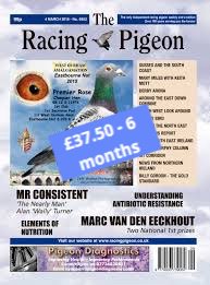Racing_Pigeon1's tweet photo. Perfect choice for Sunday 16th June - https://t.co/njfXsjferh https://t.co/BVhklTB6Th