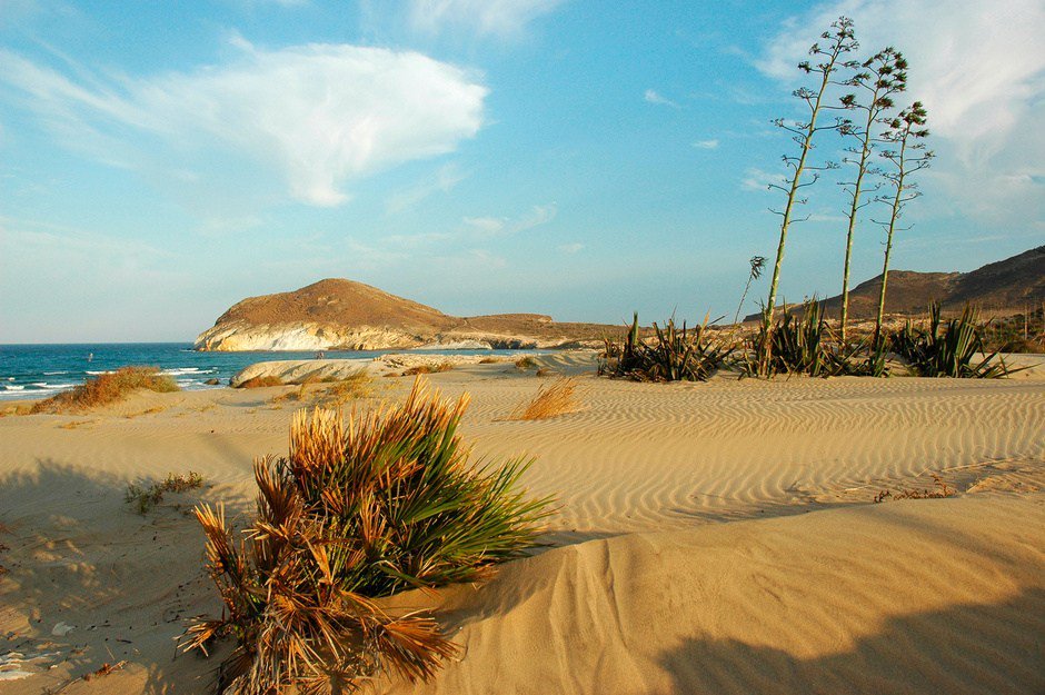 cabodegata's tweet image. Mejores establecimientos de Cabo de Gata parquenatural.com/blog/mejores-e…
