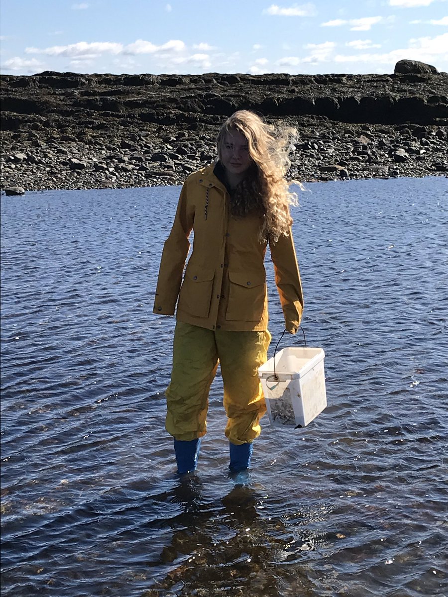 York Killarney tweet media