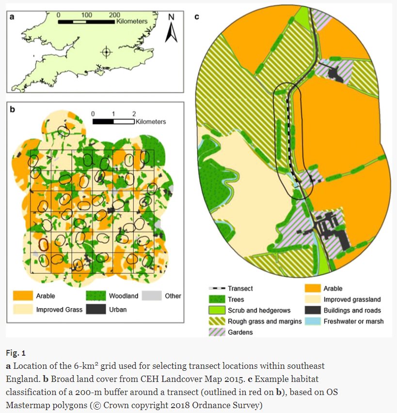 Our new paper out now in #LandscapeEcology - trees and gardens are highly important for flower-visiting insects at the mesoscale (that's between the immediate habitat and the landscape scale 🙂) 
link.springer.com/article/10.100…