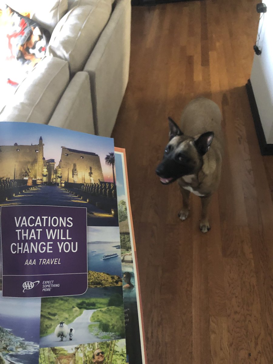 DougTurnbull's tweet photo. Just got my @AAAnews Living mag today. Maybe Stallz and I will get a good deal on a trip? #StallzSoHard #ExpectSomethingMore #ad https://t.co/6sTuDsB75d