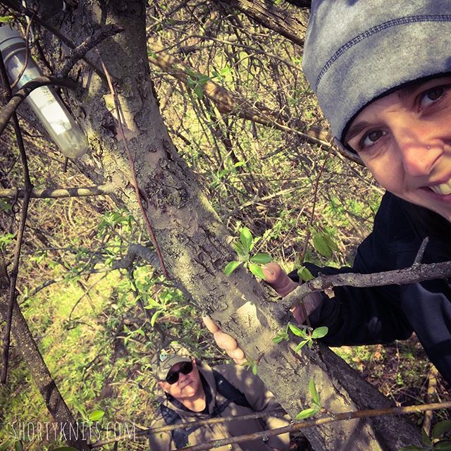 shortyknits's tweet photo. Hey, the cache is up here!
•
•
•
#geocaching #caching #gocaching #gogeocaching #forestpreserve #exploremore #geocache #treeclimb #geocachingadventures #springcaching #shortyknits https://t.co/6oPz0ra8Pz