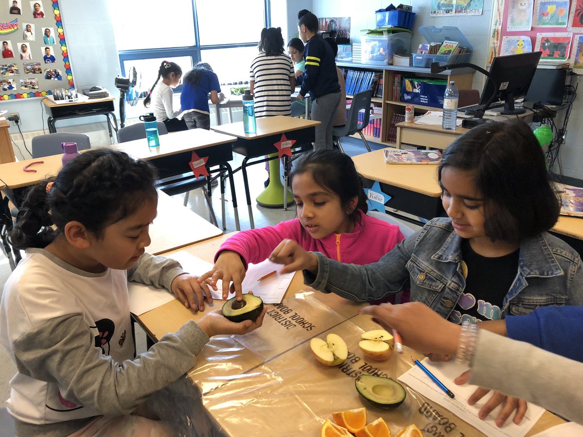 Nirvana Bissoon tweet media