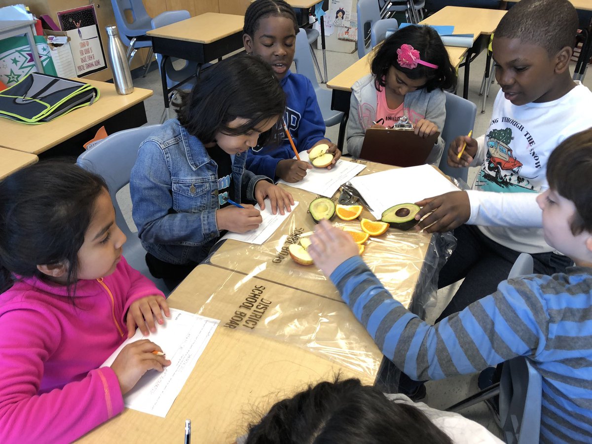 Nirvana Bissoon tweet media