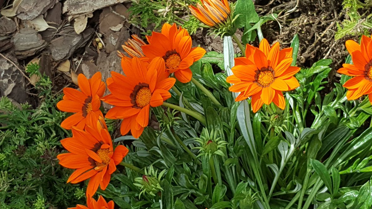 Sembrar esperanza siendo artesanas de la paz paz#UISGPlenary2019