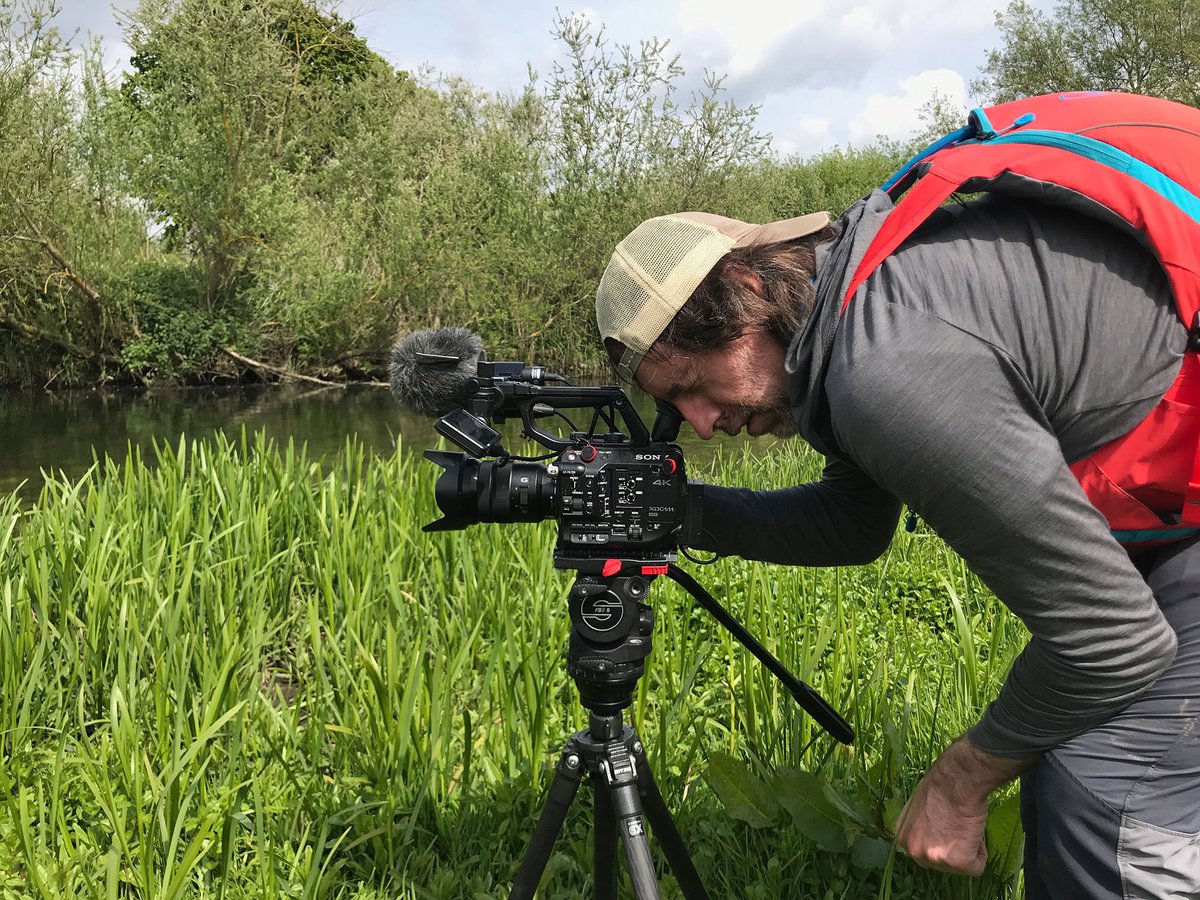Fieldcraft Studios tweet media