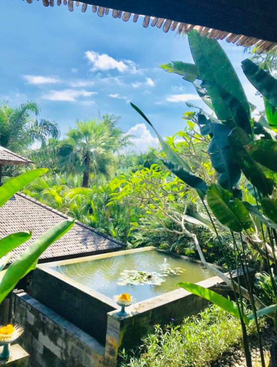 bluekarmasecret's tweet photo. Greetings from Ubud 😉🙏💙

#bali #yogabali #baliyoga #baliyogaretreat #balitravel #baliexplore #baliguide #thebaliguideline #balivibes #balimood #baliisland #discoveryourplace #balihealthy #shalabali #shala #beautifulbali #ubudbali #baliubud #ubud #ubudhotel #ubudlife #ubudhood https://t.co/oQPGPLRlP9