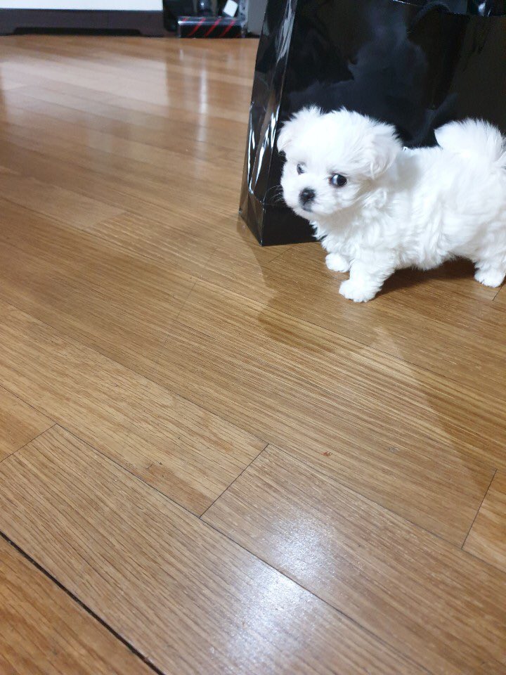 mungmungeeeee's tweet photo. @cong_doou_ 멀바여 😑😑 https://t.co/4T4ERtpRJr