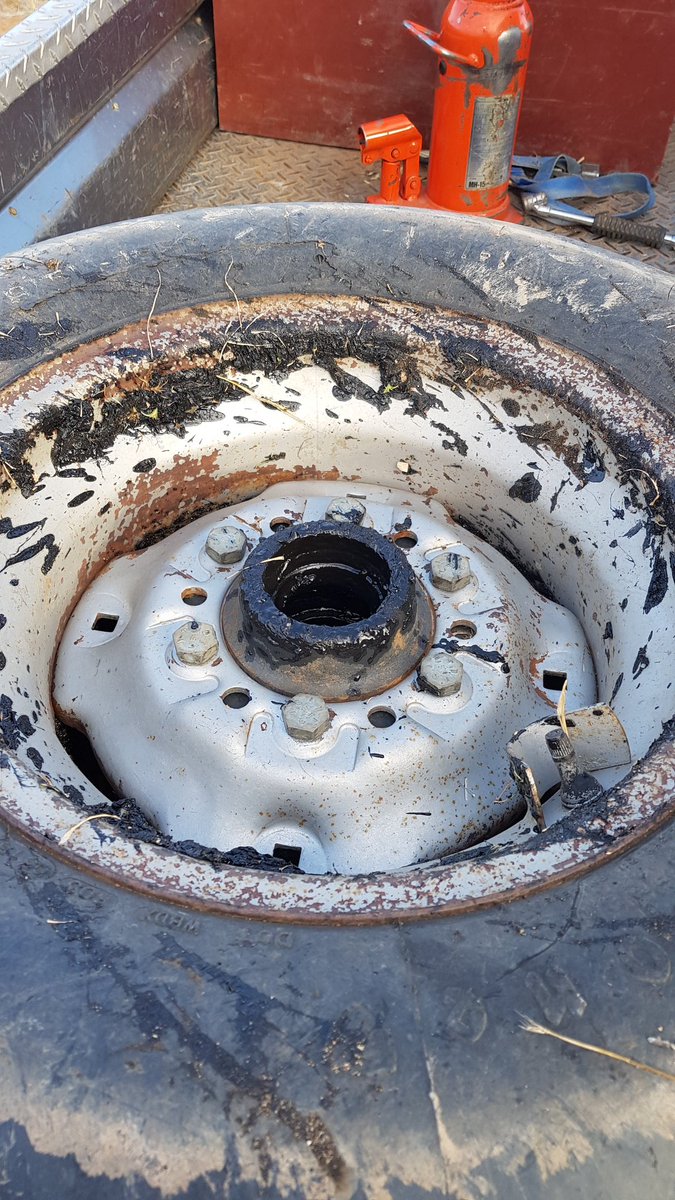 Trav Mitchell 🇦🇺 tweet media