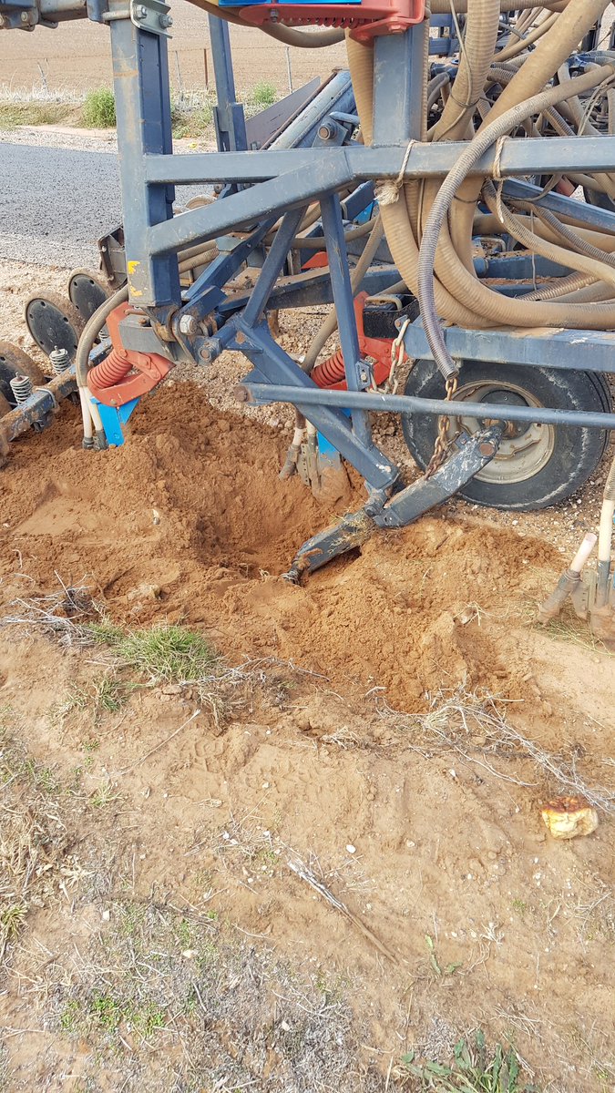 Trav Mitchell 🇦🇺 tweet media