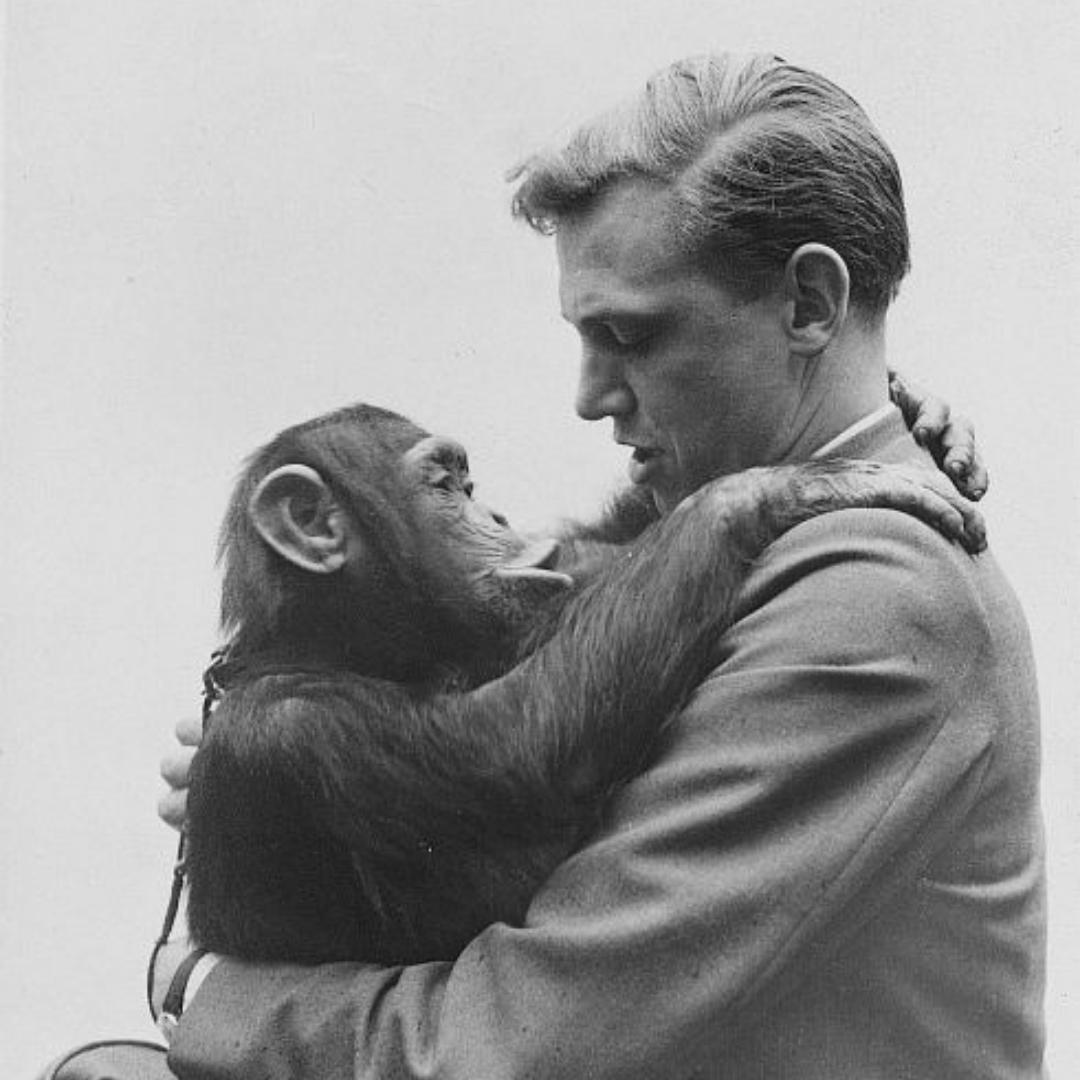“I think sometimes we need to take a step back and just remember we have no greater right to be here than any other animal.” Happy 93rd Birthday #DavidAttenborough!