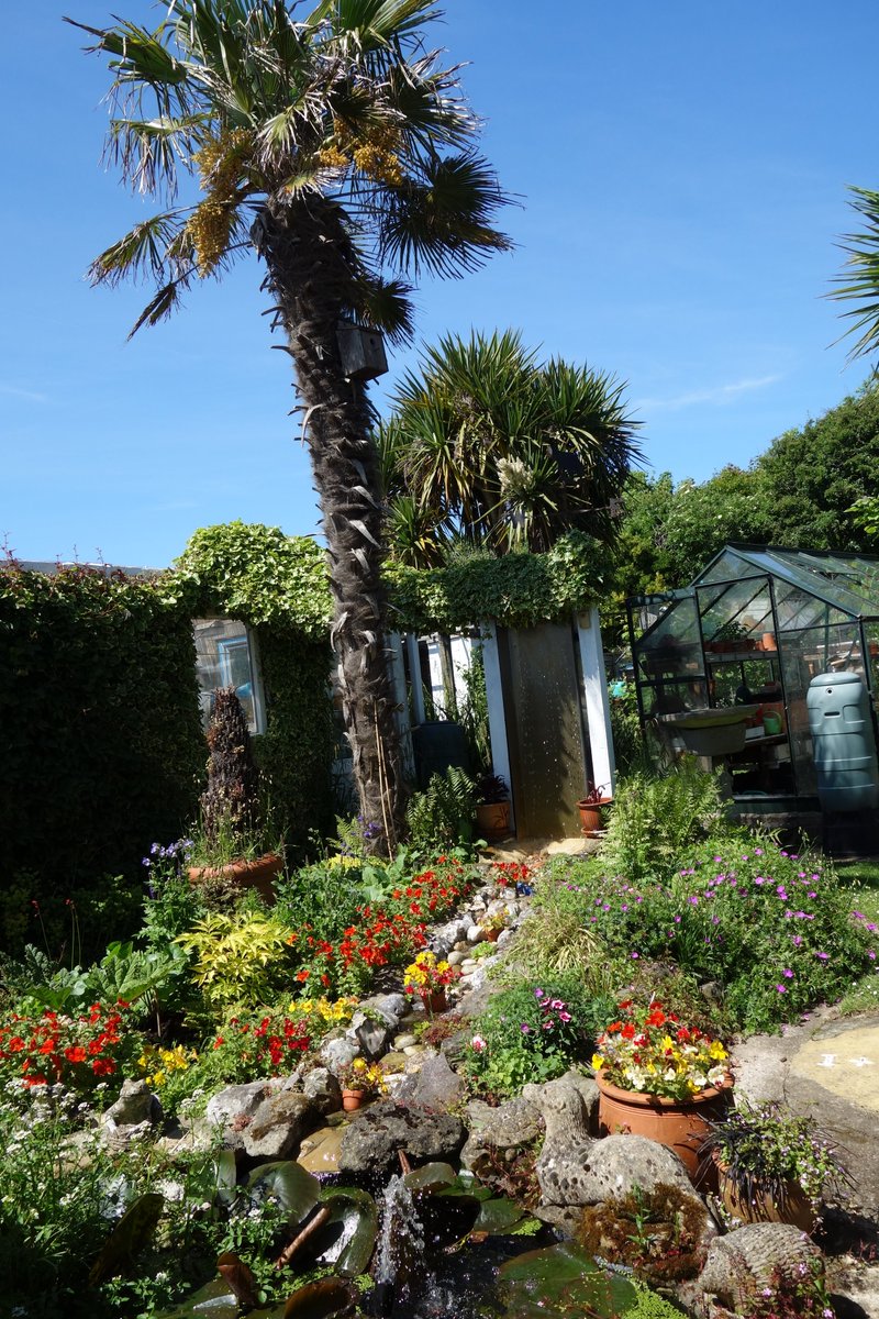 SelseyWalkFest's tweet photo. Selsey Open Gardens 2nd June tickets on sale now in Selsey. Seal Island Wools, Highhouse Insurance and Selsey Florist. https://t.co/YVIMsVWUFJ @Discover_Chi @CarolKlein @TeleGardening @guardian @BBCGWLive @BBCCountryfile @Chiobserver @ChichesterPost https://t.co/8M10HMrT5L