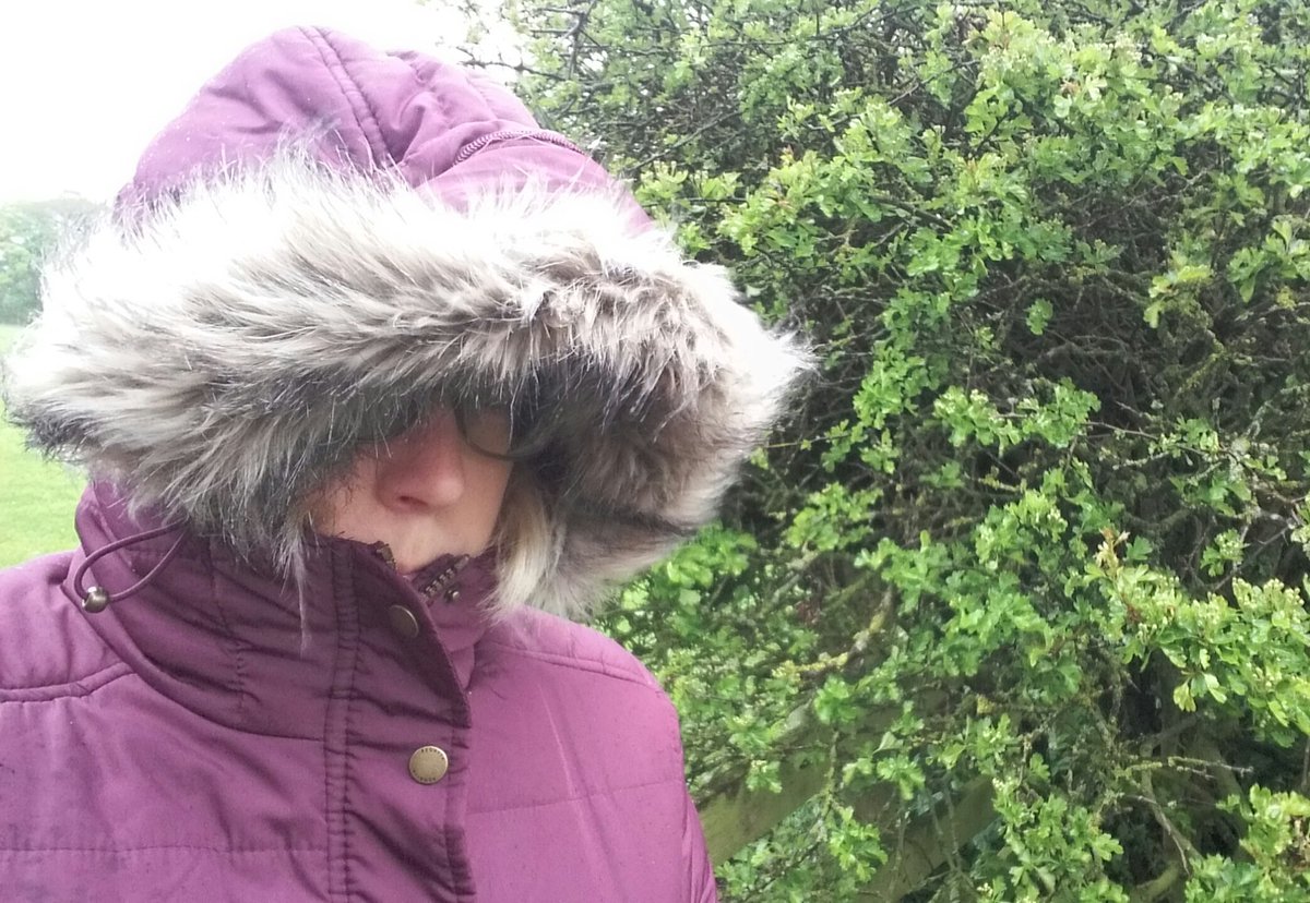 OurDoePark's tweet image. "Ne'er cast a clout til  May is out"

Our hawthorn isn't out yet and I won't be casting clouts anytime soon.
Freezing!

@Ross_Hutchinson 
@NFUCountryside 
@NorthPennAONB 

#whereisSpring