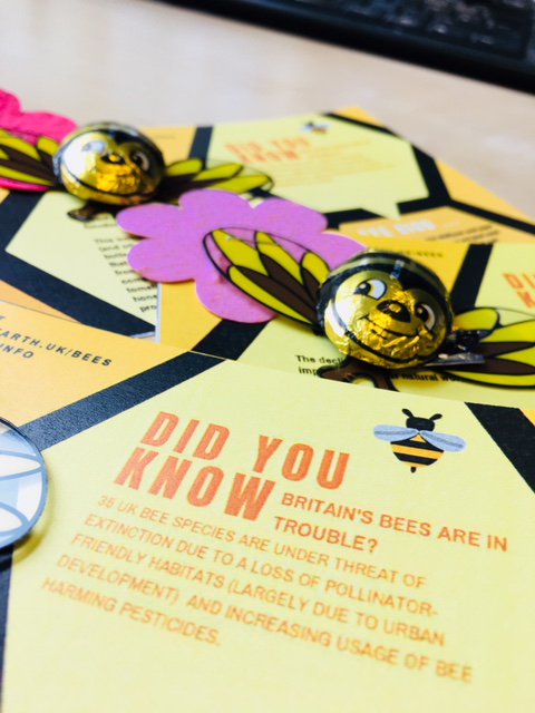 UKIM_UK's tweet photo. Britain's #bees are under threat of #extinction 😢So this morning we have given our @UKIM_UK team wildflower seeds so that together we can plant them to create more pollinator-friendly habitats 🐝🍎🦋🍯#doingourbit #ournaturalworld #becauseweneedbees #wildflowers @friends_earth https://t.co/UVcyXatgui