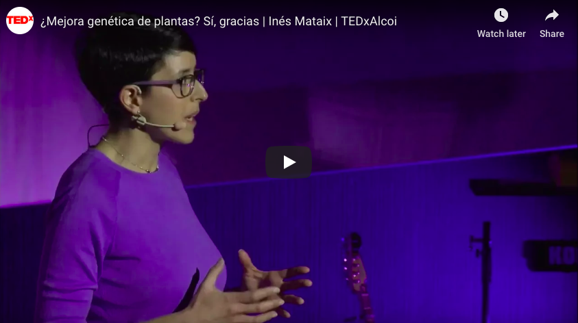 fundacionantama's tweet photo. 📲 Os recomendamos este #vídeo de 10 minutos de la Ingeniera Agrónoma Inés Mataix (@inesmataix) sobre el valor de la mejora genética de #plantas.  🌱 Vídeo en el enlace 👉 https://t.co/9kOpQbkZL3 @TEDxAlcoi #agricultura #transgénicos #biotecnología #mejoragenética #mejoravegetal https://t.co/EPCi2ydXgm