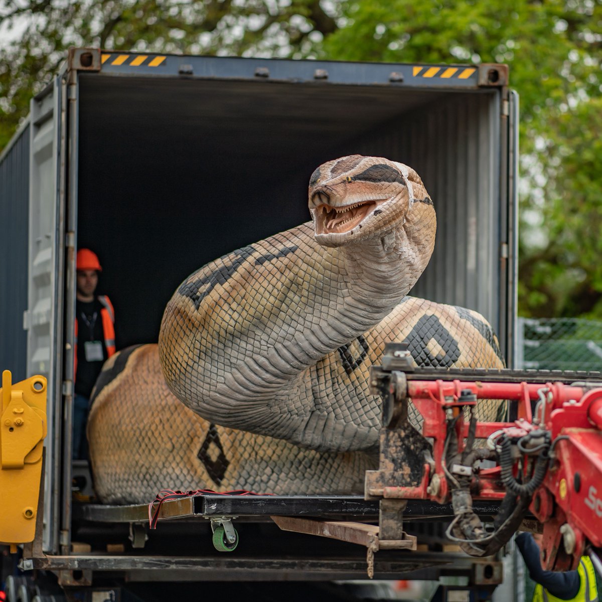 chesterzoo's tweet photo. 🐍❌ WATCH OUT ❌🦖

Giant prehistoric PREDATORS have arrived... https://t.co/1tBaAt0Tid