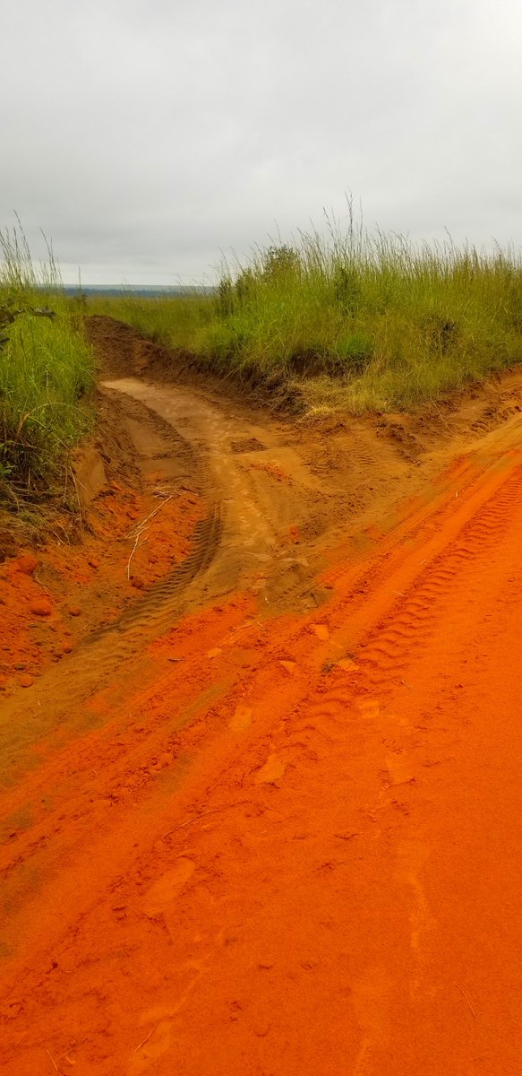 OR_dpk's tweet photo. Route nationale n 17, tronçon compris entre Mongata et Kinsele, route qui était dans un état de dégradation avancée.
cette dernière a été prise en charge par la direction provinciale de Kinshasa @OR_dpk dans le cadre du programme de 100 premiers jours du chef de l'état. https://t.co/USBPQEdjqh