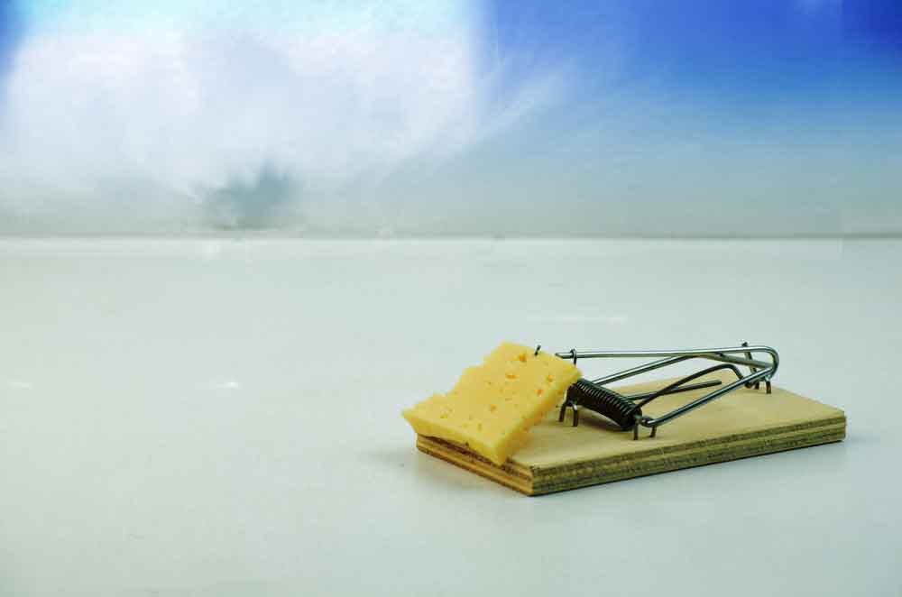 İnsanlık atom bombasını icat etti, ama hiçbir fare bir fare kapanı geliştirmez.

| Albert Einstein