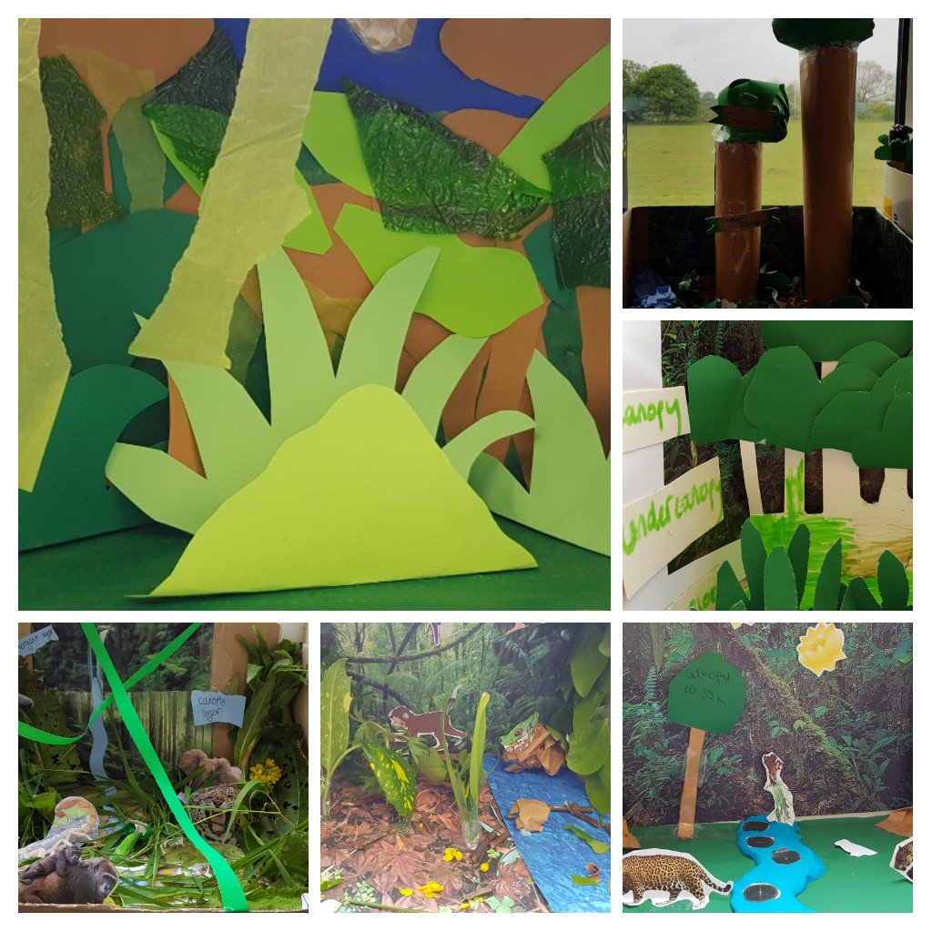 CarrHillGeog's tweet photo. @CarrHillSchool  #yr8Geography working hard on their India topic studying the structure of the Tropical rainforest 🐒🌴⛈️🇮🇳 https://t.co/VpudlD77wu