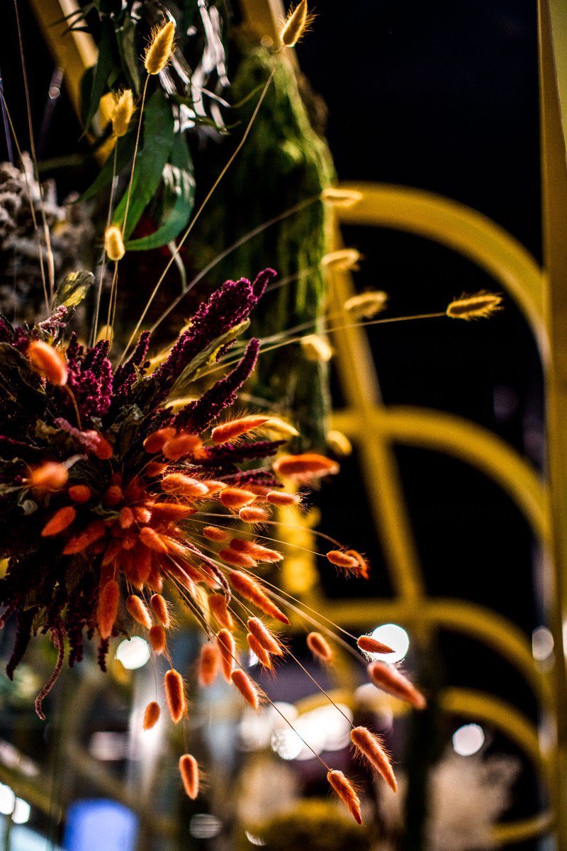 What a perfect creation from one of our customers @rauvolfiaflowers  
#fern #driedflowers #ruscus #eucalyptus #cladonia #moss #amaranthus #lagurus #statice #grasses #decoration #shopwindow
