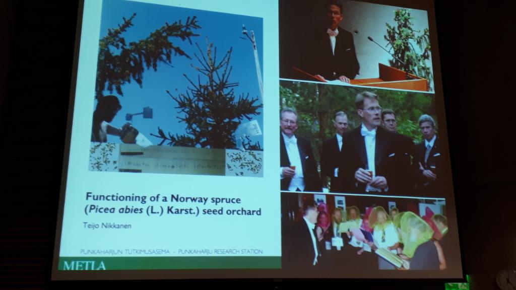 Kuinka minusta tuli minä - <a href="/LukeFinland/">Luonnonvarakeskus</a>'in Teijo Nikkanen kertoo tutkijanuransa vaiheista #Lusto'ssa. #metsänjalostus #viherrakentaminen  #dendrologia