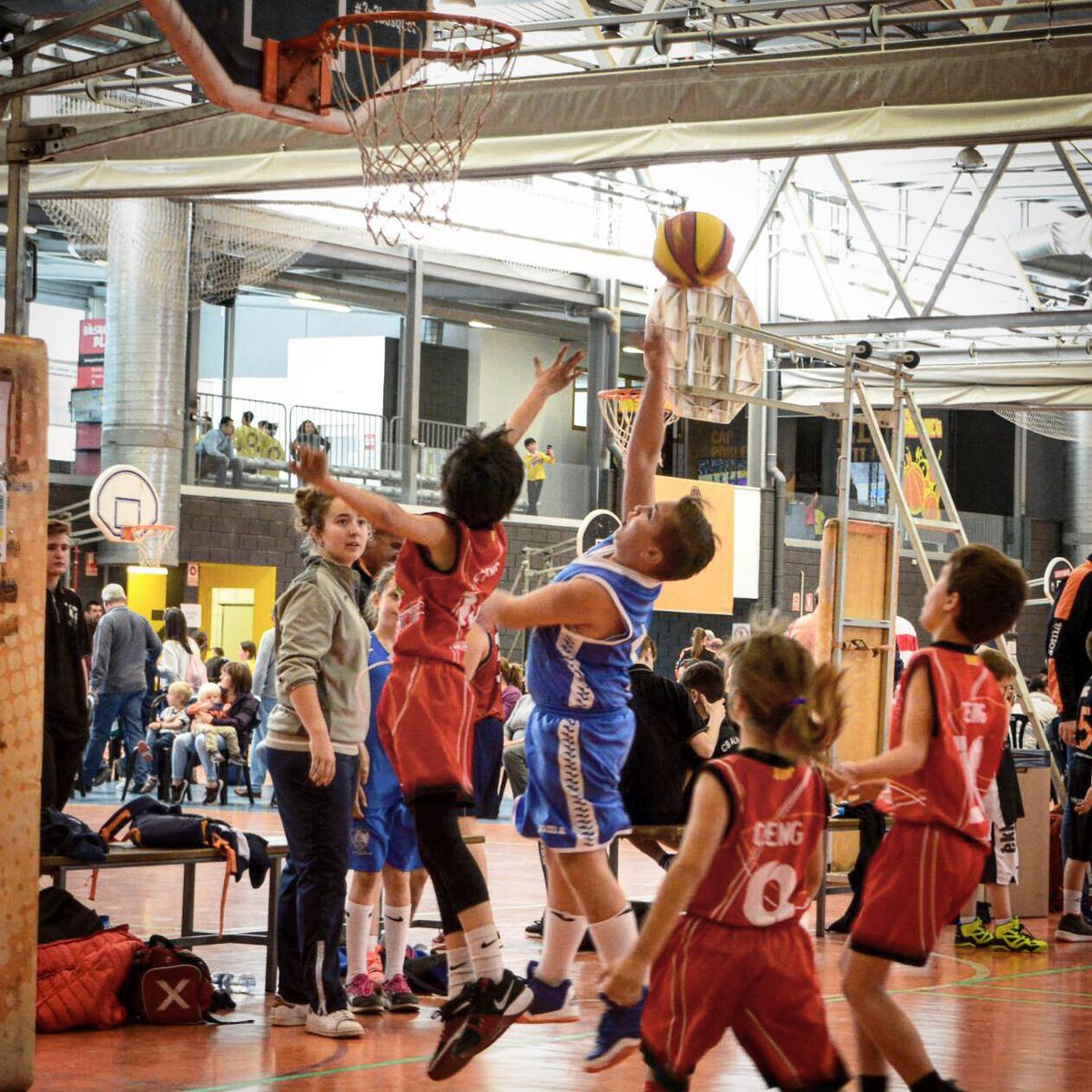 CE Maristes Lleida tweet media