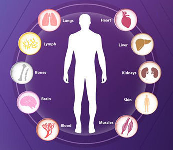 Direct2Lab (@direct2lab) on Twitter photo 