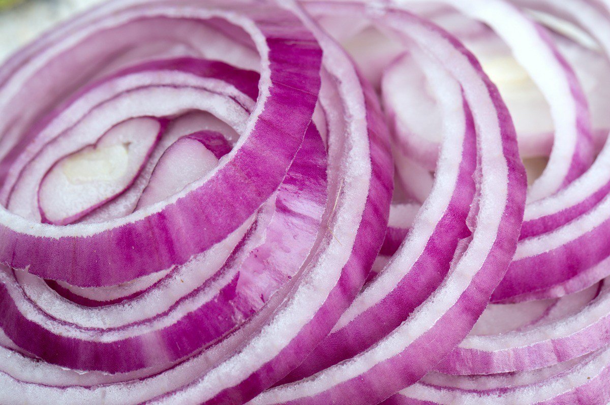 Onion Seiten 2023 Onion Seiten 2023