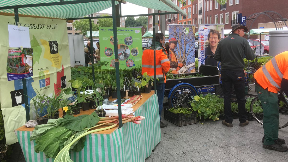 gemeentehengelo's tweet photo. Lever op 18 mei een tuintegel in tijdens de #Groenmarkt en ontvang een gratis plantje! Doe mee en maak Hengelo groener !Ga voor een #levendetuin #operatiesteenbreek Kijk voor meer informatie op https://t.co/VIWsRi0Lae https://t.co/QvcQaLBiey