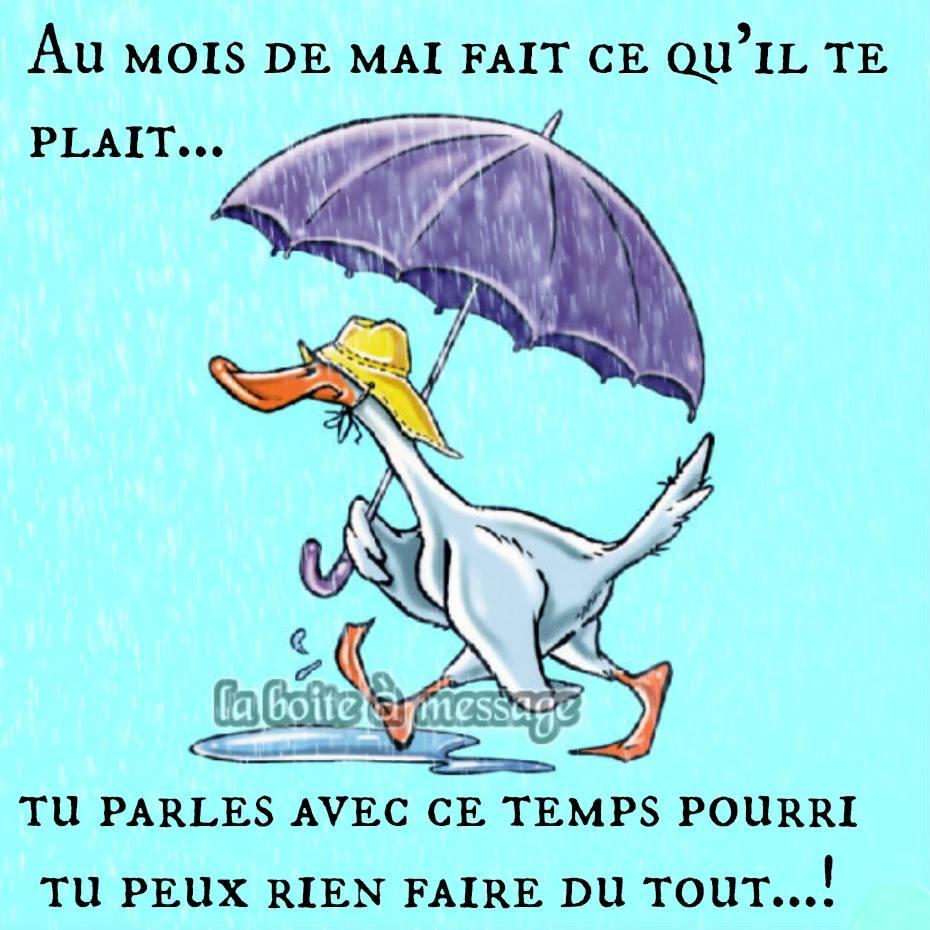 La Boite A Message Humour Ninie Du Hainaut Nicole Humour Du Jour La Boite A Message Humour Ninie Du Hainaut Nicole Humour Du Jour