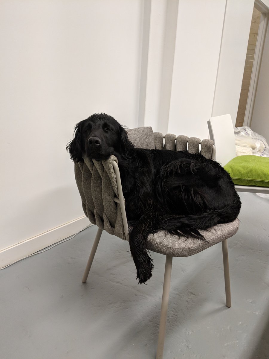 Illy can confirm that the Tosca dining chair is by far the most comfy in the office, today. #dogintheoffice #outdoordining #dogstyle