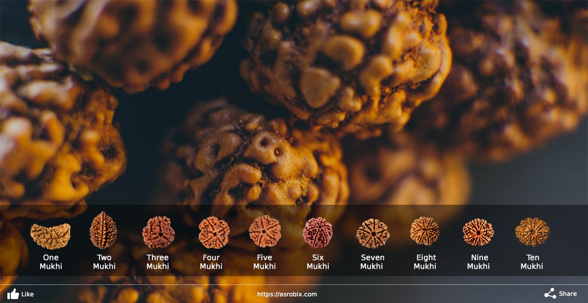 astrobix's tweet photo. How much do you know of "Rudrakshas"? Discover the secrets here: https://t.co/WtxhaWGMTn

#astrology https://t.co/LDqqX9pXMS