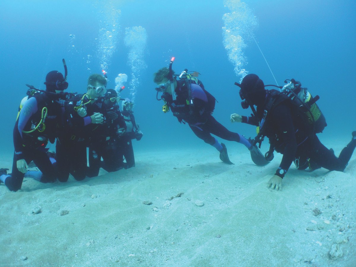 GapYearExperts's tweet image. Fancy learning to scuba dive? Dive on in with our scuba programs across the globe theleap.co.uk/types-of-exper…