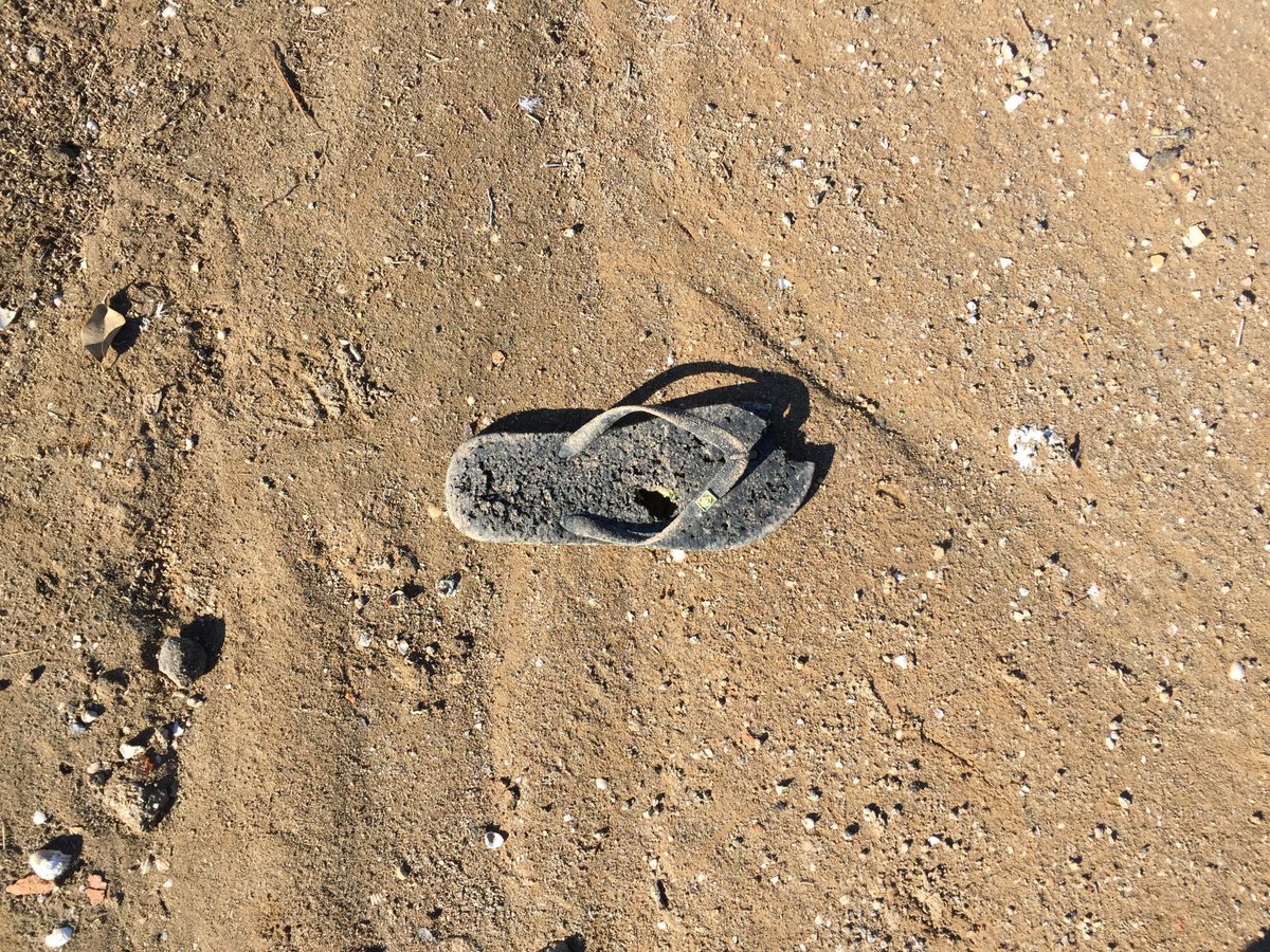 Muchos años dando la espalda a un gran problema, el del Mar Menor blgs.co/Vd8Vq6