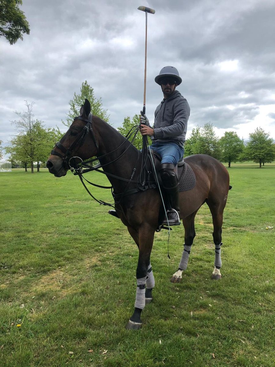 blackhoundpolo's tweet photo. Grey skies call for grey knits. Link below to shop more: 
https://t.co/xYXPQnrWc4
#capturethehound #polofashion #sports #sportsclothes #poloseason #poloseason2019 #blackhoundsports https://t.co/XEkHy51Qyo