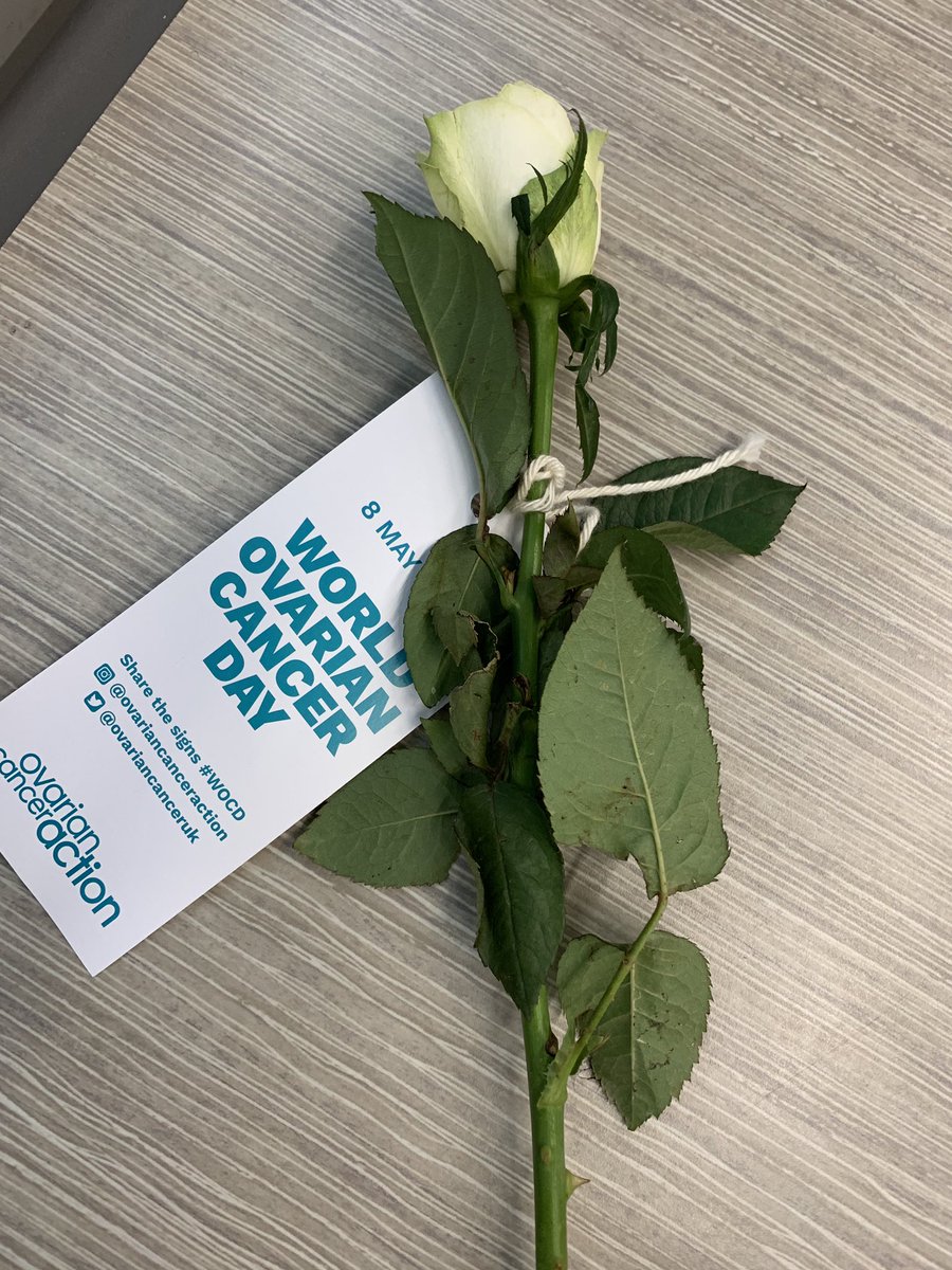 I was given this beautiful rose at the train station today to raise awareness about #OvarianCancerDay