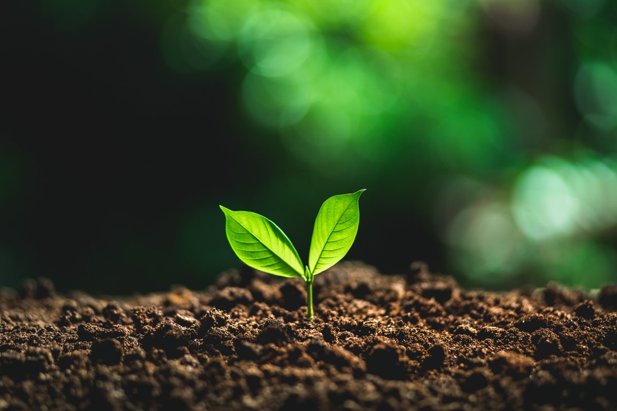 CHAPAgriTech's tweet photo. Soils are a key agricultural resource but they are suffering: in England & Wales it is estimated we have just 100 harvests left. If you are passionate about soils, join the debate in Ross-on-Wye on June 4. https://t.co/HjDCurR12K #SoilHealth #FertileFields @CHAP_Enquiries https://t.co/afCIcNGKKT