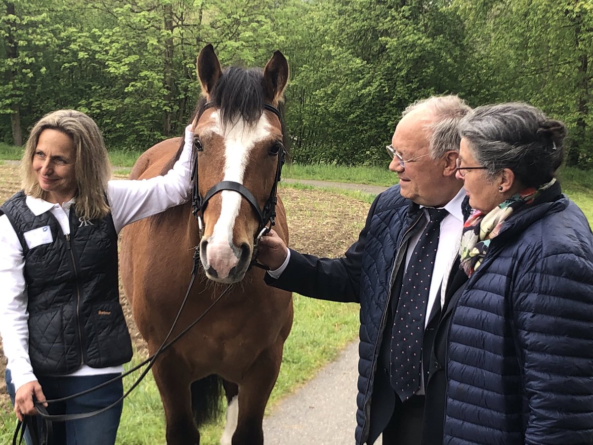 Heute beim #SSBL in #Rathausen. Voltéro kommt in den <a href="/KantonLuzern/">Kanton Luzern</a> - a. BR Schneider-Ammann schenkt den #Freiberger den Bewohnern. #Therapie