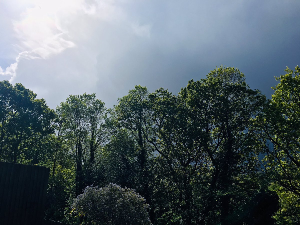 Isobel Bryce tweet media