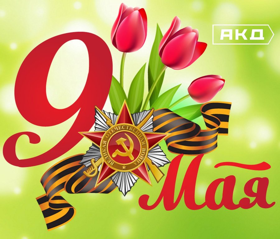 Картинки с поздравлением на 9 мая 2019 года, совы птички своими