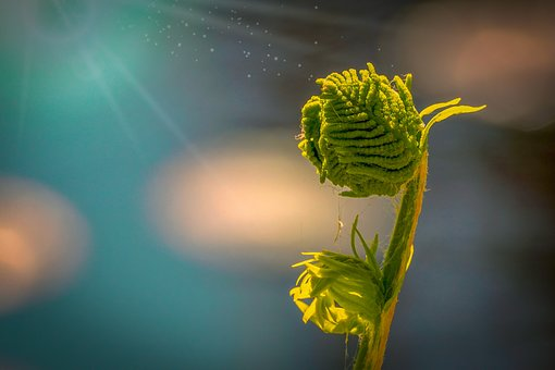 christinedoura1's tweet photo. To see a world in
 a grain of sand
and heaven in
a wild flower.
Hold infinity
in the palm
of your hand
and eternity
in an hour.

- William Blake. https://t.co/Mpa9qtQdFs