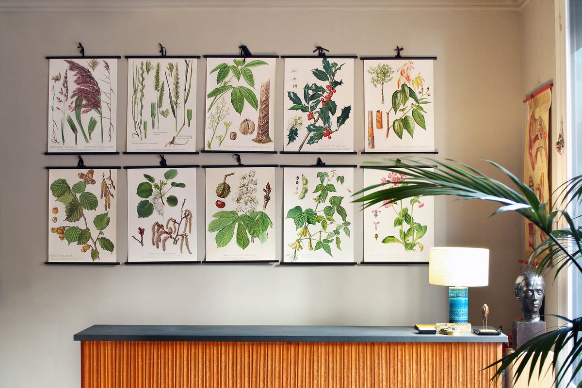 Explosión de Botánica. Carteles alemanes vintage listos para llevar 🌲🌴🍀almacenalquianhoptimo.com/shop/