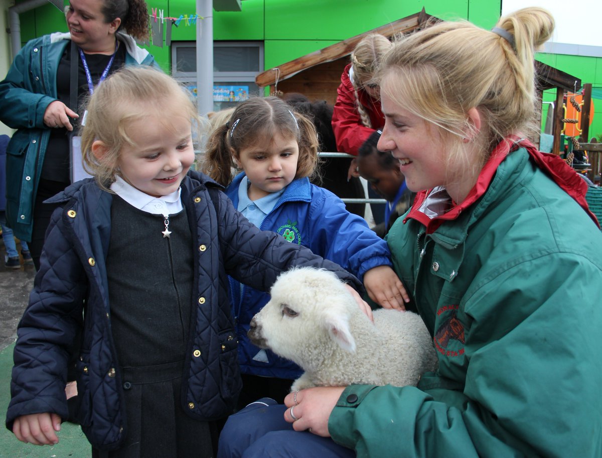 OrchardParkSch's tweet photo. Great excitement in Caterpillars this morning as @monach_farm are visiting Orchard Park! #monachfarm #orchardpark #nursery #EYFS https://t.co/lpL8RDiTib